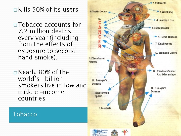 � Kills 50% of its users � Tobaccounts for 7. 2 million deaths every