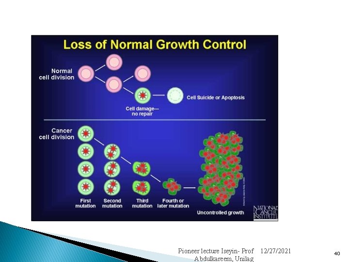 Pioneer lecture Iseyin- Prof Abdulkareem, Unilag 12/27/2021 40 