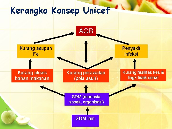 Kerangka Konsep Unicef AGB Kurang asupan Fe Kurang akses bahan makanan Penyakit infeksi Kurang