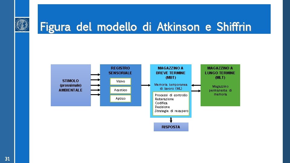 Figura del modello di Atkinson e Shiffrin REGISTRO SENSORIALE STIMOLO (prossimale) AMBIENTALE Visivo Acustico