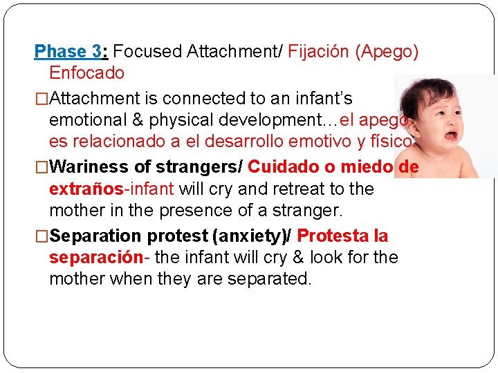 Phase 3: Focused Attachment/ Fijación (Apego) Enfocado �Attachment is connected to an infant’s emotional