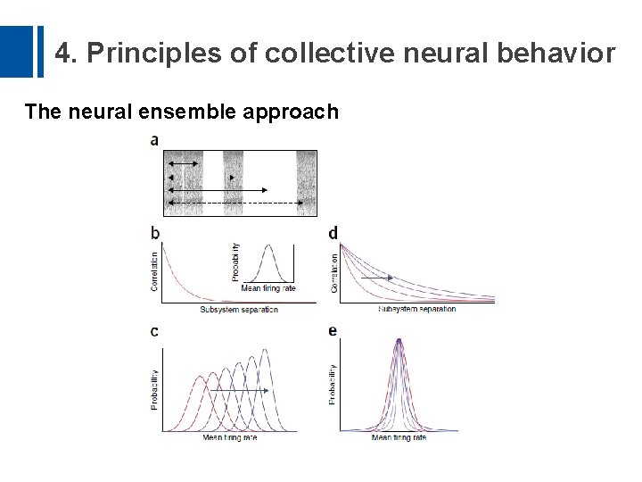4. Principles of collective neural behavior The neural ensemble approach 
