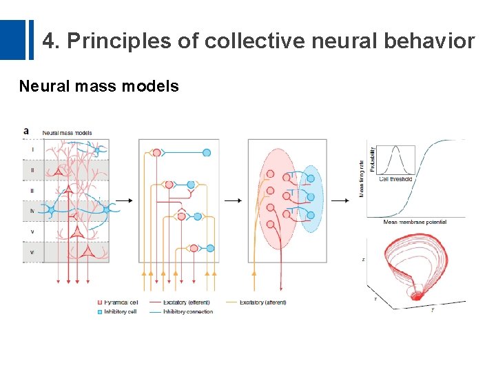 4. Principles of collective neural behavior Neural mass models 
