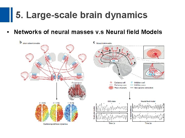 5. Large-scale brain dynamics • Networks of neural masses v. s Neural field Models