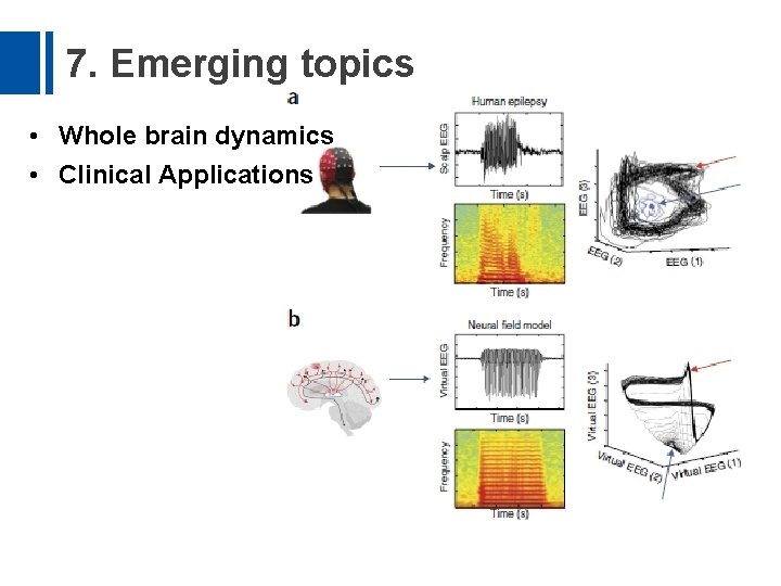 7. Emerging topics • Whole brain dynamics • Clinical Applications 