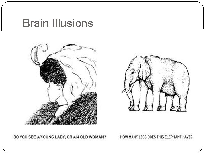 Brain Illusions Brain Illusions