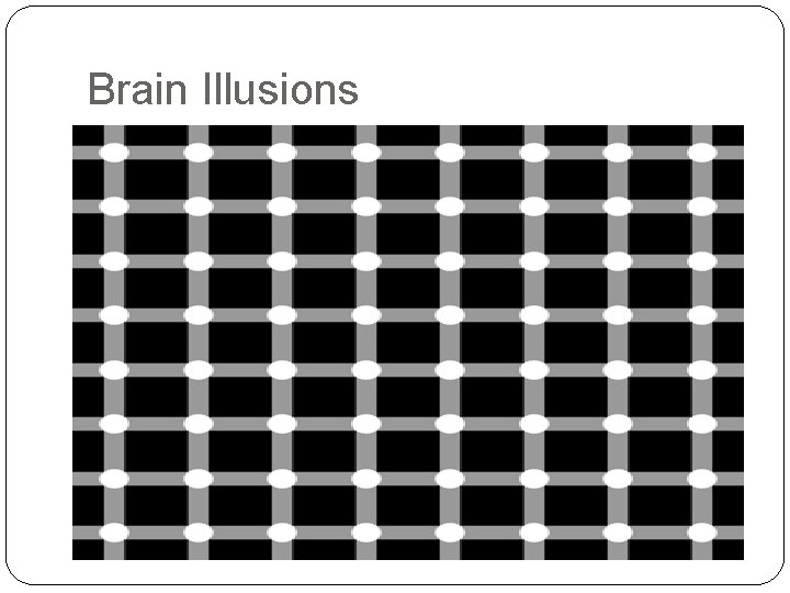 Brain Illusions Brain Illusions