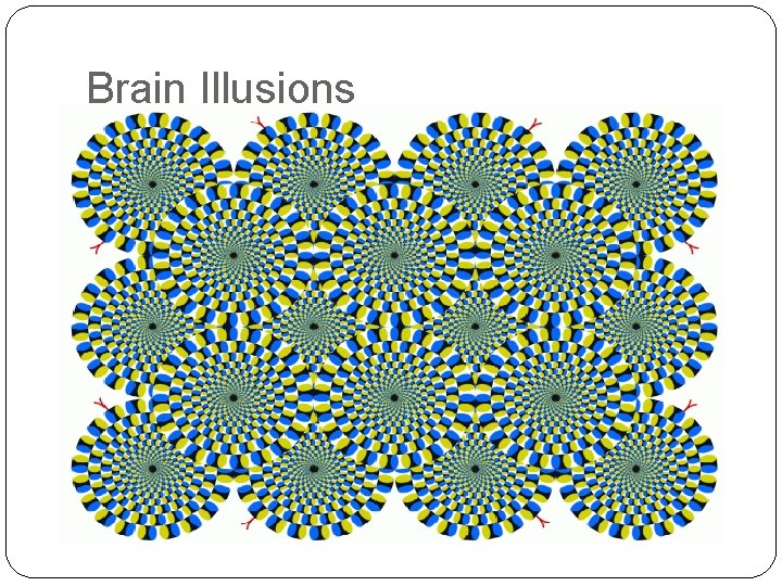 Brain Illusions Brain Illusions