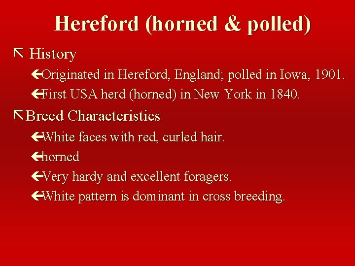 Hereford (horned & polled) ã History çOriginated in Hereford, England; polled in Iowa, 1901.