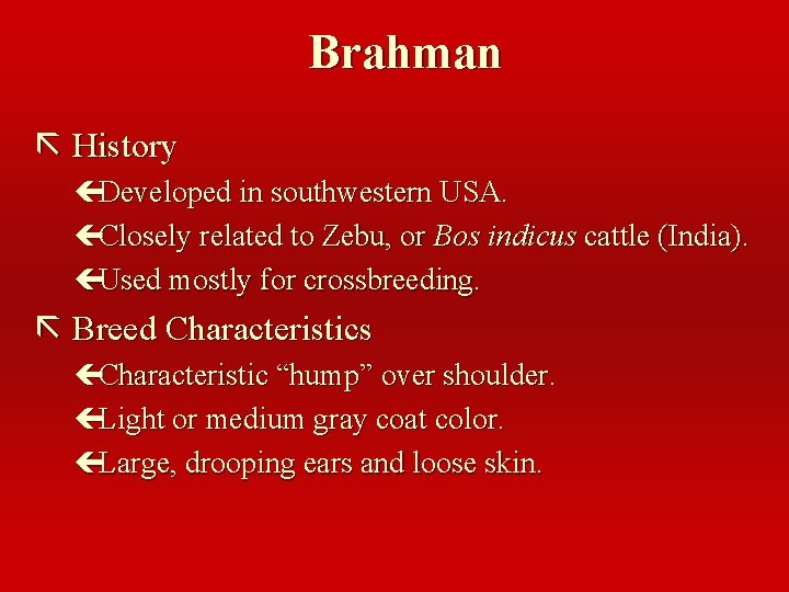 Brahman ã History çDeveloped in southwestern USA. çClosely related to Zebu, or Bos indicus