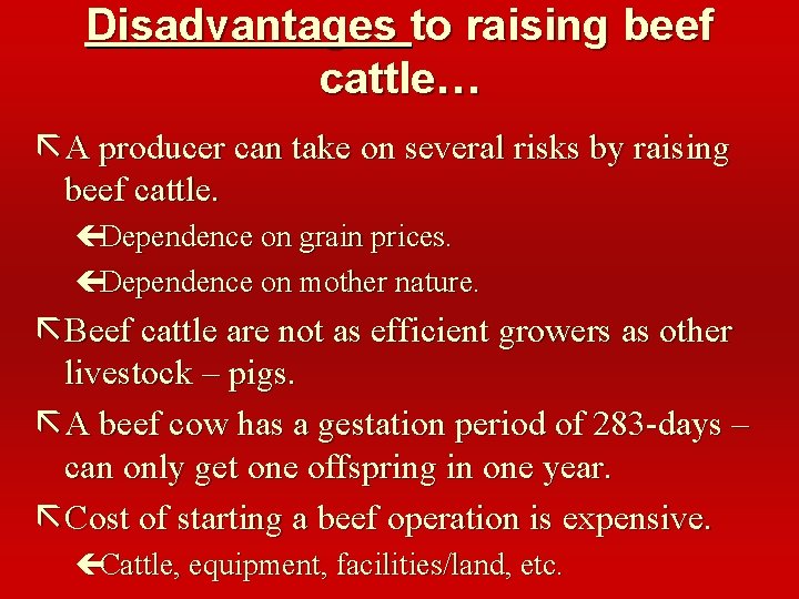 Disadvantages to raising beef cattle… ã A producer can take on several risks by