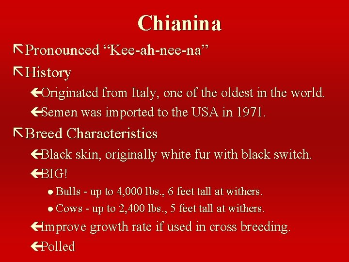 Chianina ã Pronounced “Kee-ah-nee-na” ã History çOriginated from Italy, one of the oldest in