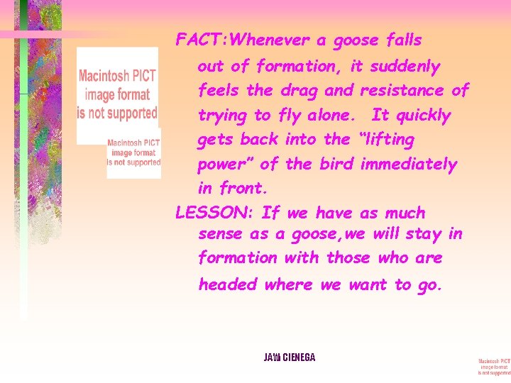 FACT: Whenever a goose falls out of formation, it suddenly feels the drag and