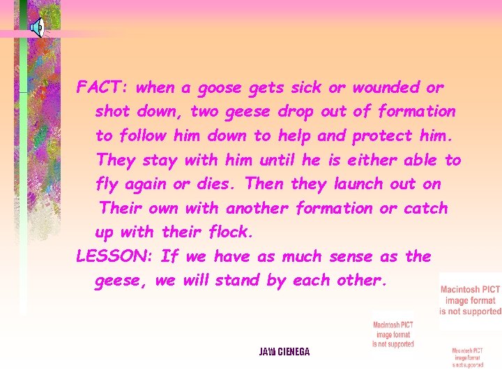 FACT: when a goose gets sick or wounded or shot down, two geese drop