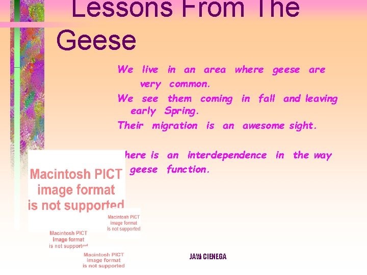 Lessons From The Geese We live in an area where geese are very common.