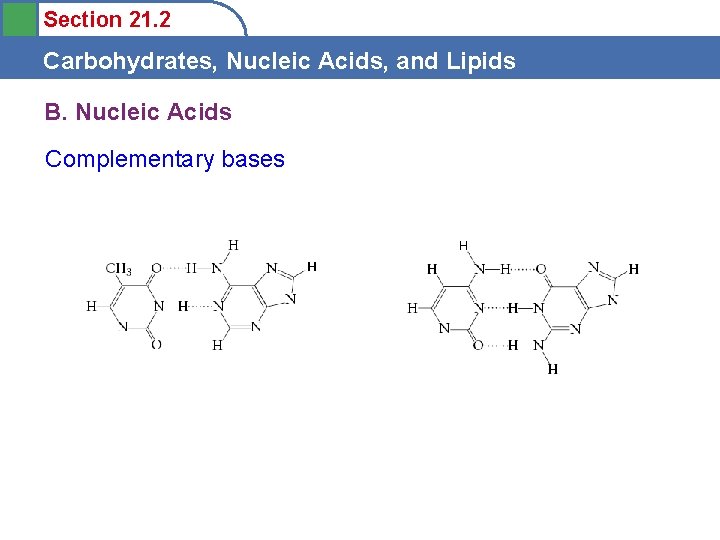 Section 21. 2 Carbohydrates, Nucleic Acids, and Lipids B. Nucleic Acids Complementary bases 