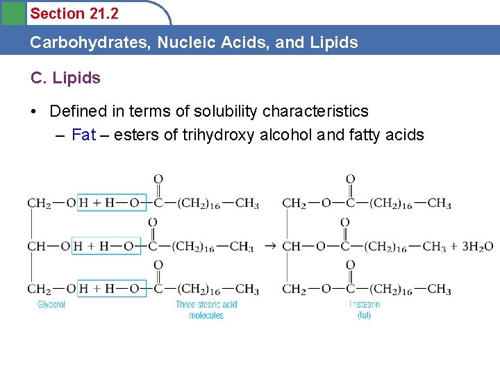 Section 21. 2 Carbohydrates, Nucleic Acids, and Lipids C. Lipids • Defined in terms