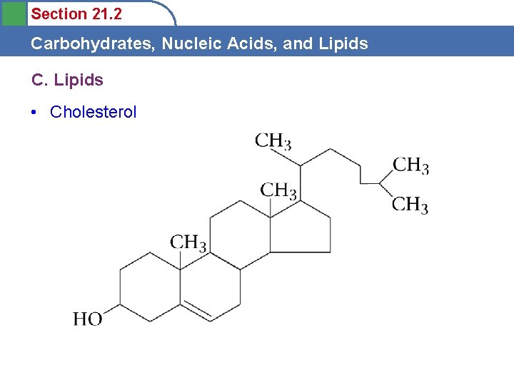 Section 21. 2 Carbohydrates, Nucleic Acids, and Lipids C. Lipids • Cholesterol 