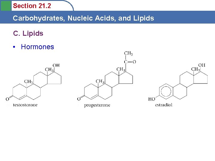 Section 21. 2 Carbohydrates, Nucleic Acids, and Lipids C. Lipids • Hormones 