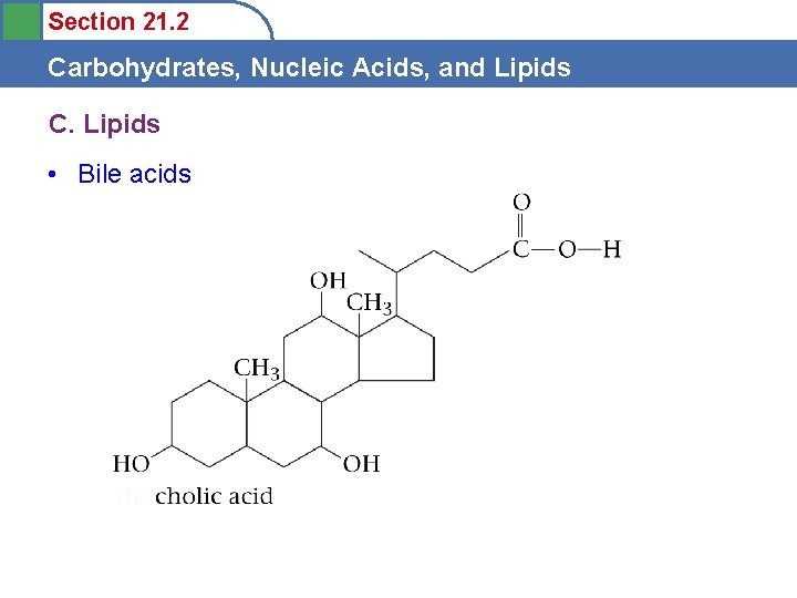 Section 21. 2 Carbohydrates, Nucleic Acids, and Lipids C. Lipids • Bile acids 