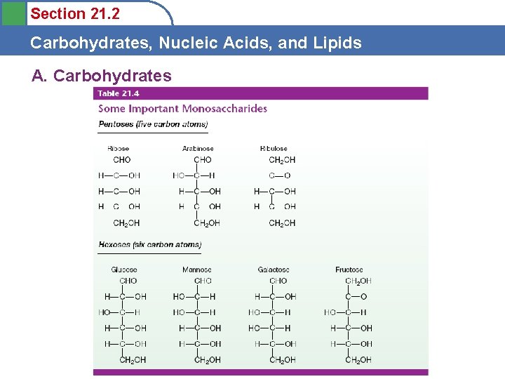 Section 21. 2 Carbohydrates, Nucleic Acids, and Lipids A. Carbohydrates 
