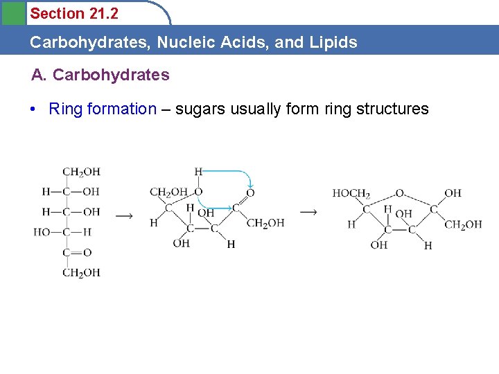 Section 21. 2 Carbohydrates, Nucleic Acids, and Lipids A. Carbohydrates • Ring formation –