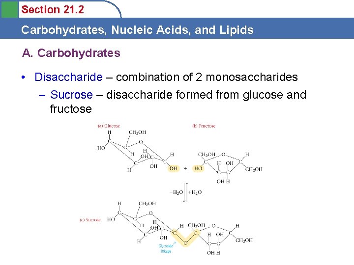 Section 21. 2 Carbohydrates, Nucleic Acids, and Lipids A. Carbohydrates • Disaccharide – combination