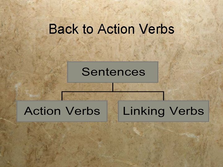 Back to Action Verbs 