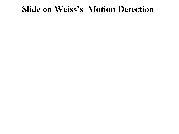 Slide on Weiss’s Motion Detection 