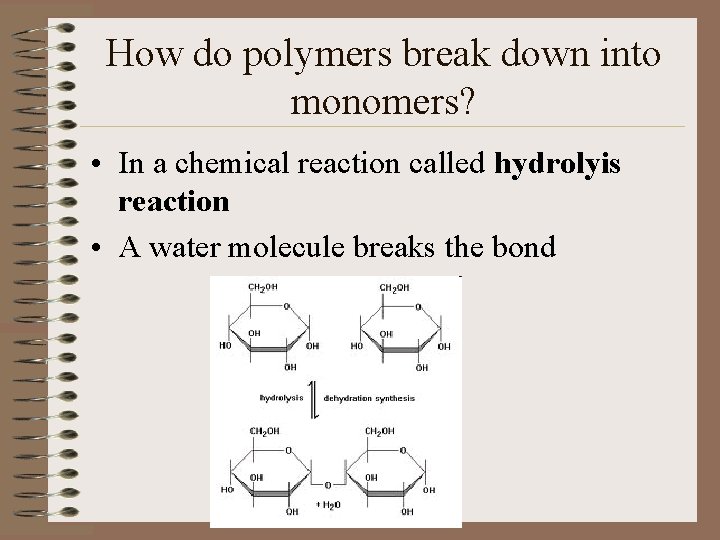 How do polymers break down into monomers? • In a chemical reaction called hydrolyis