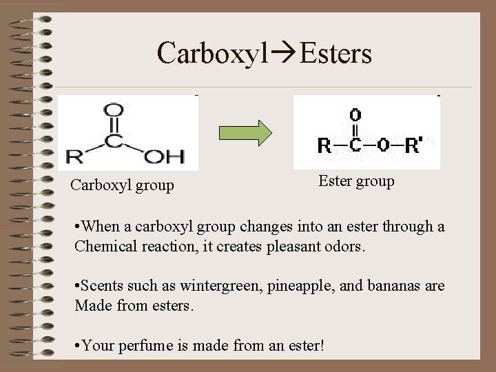Carboxyl Esters Carboxyl group Ester group • When a carboxyl group changes into an