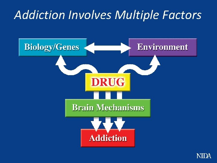 Addiction Involves Multiple Factors 
