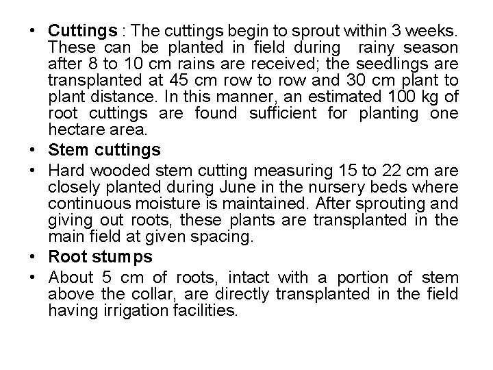  • Cuttings : The cuttings begin to sprout within 3 weeks. These can
