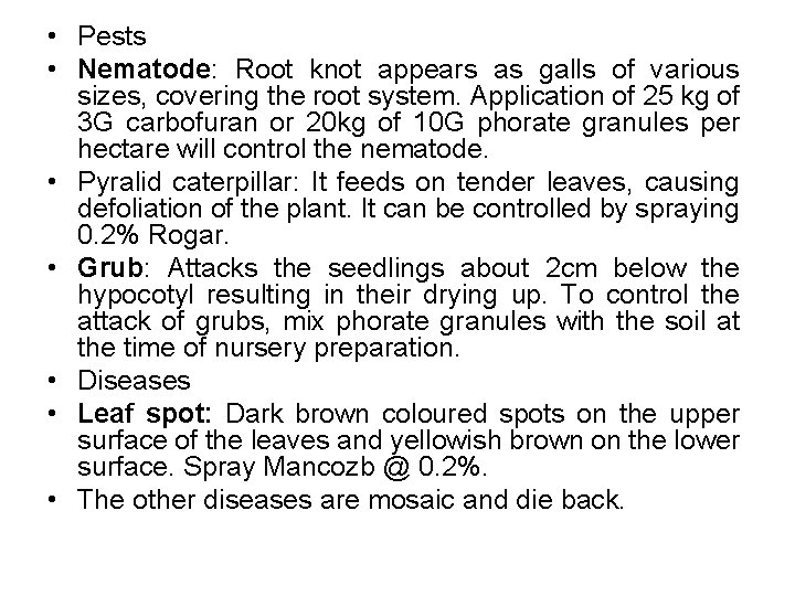  • Pests • Nematode: Root knot appears as galls of various sizes, covering
