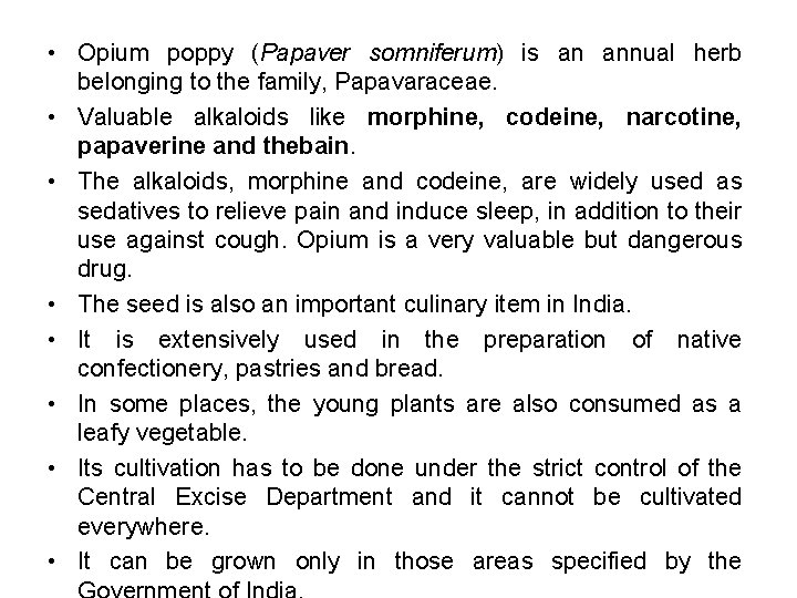  • Opium poppy (Papaver somniferum) is an annual herb belonging to the family,