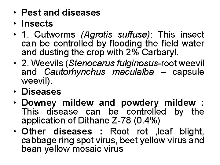  • Pest and diseases • Insects • 1. Cutworms (Agrotis suffuse): This insect