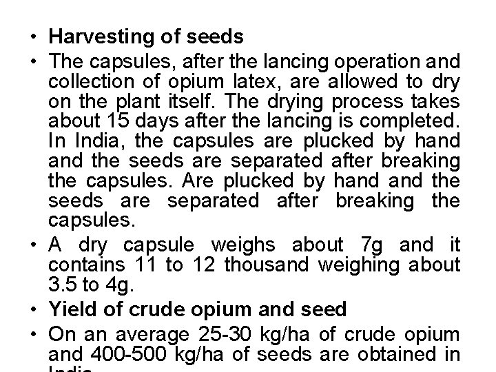  • Harvesting of seeds • The capsules, after the lancing operation and collection