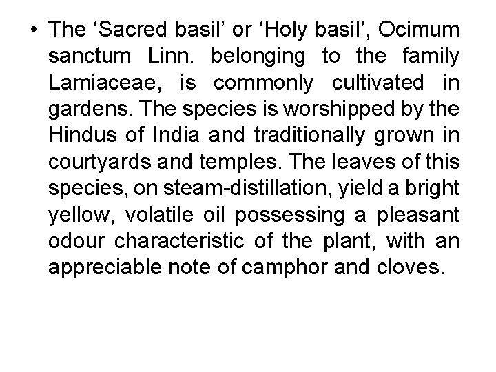  • The ‘Sacred basil’ or ‘Holy basil’, Ocimum sanctum Linn. belonging to the