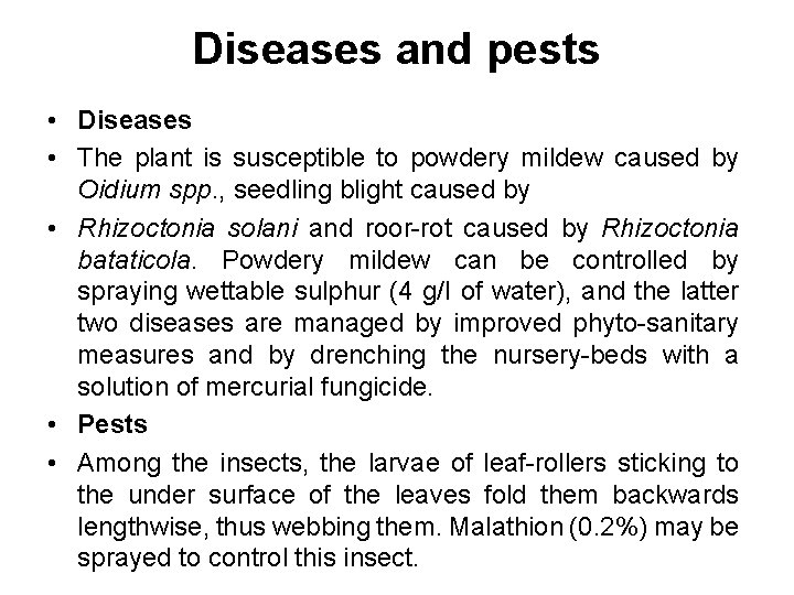 Diseases and pests • Diseases • The plant is susceptible to powdery mildew caused
