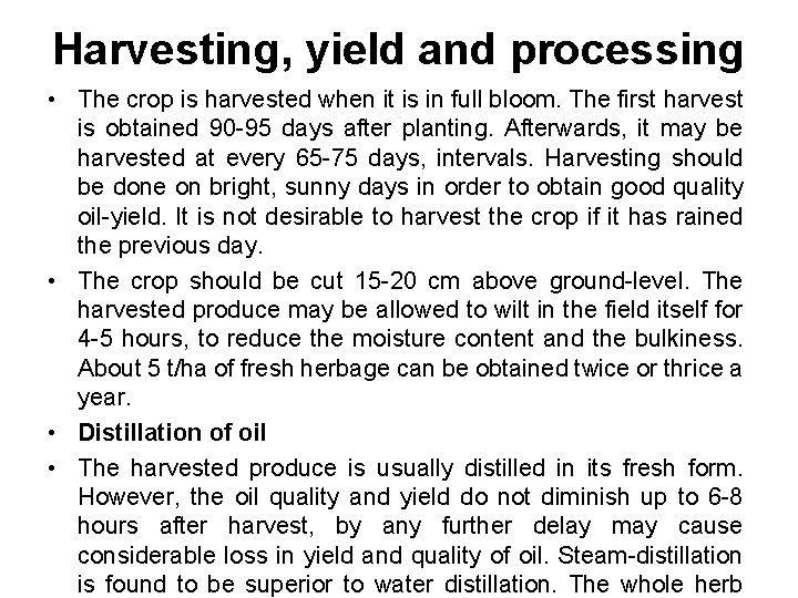 Harvesting, yield and processing • The crop is harvested when it is in full