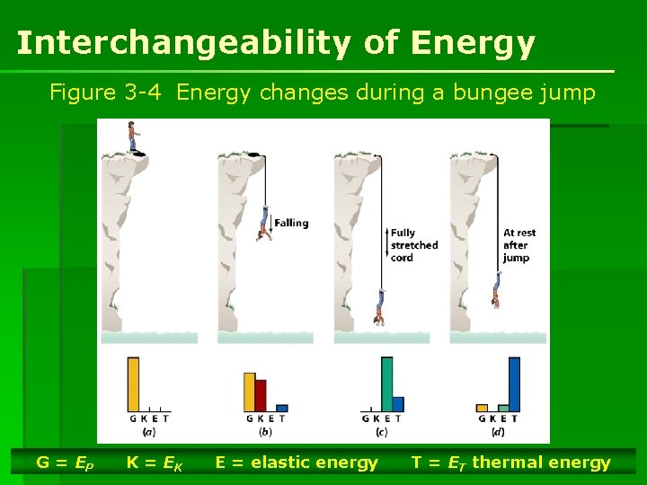 Interchangeability of Energy Figure 3 -4 Energy changes during a bungee jump G =