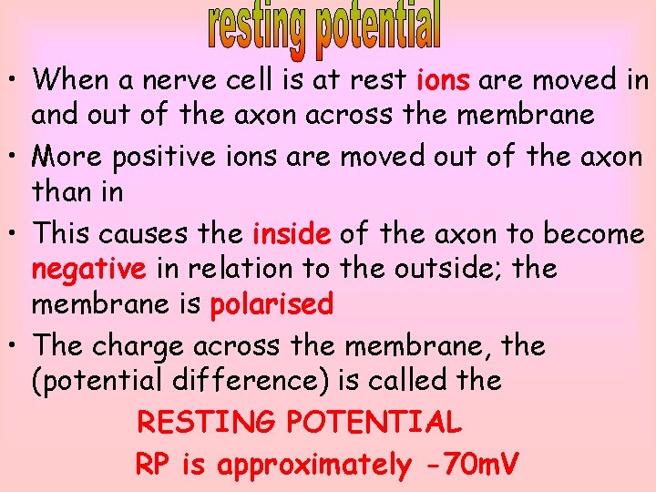  • When a nerve cell is at rest ions are moved in and