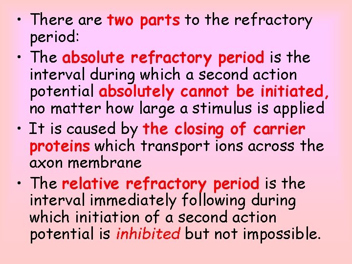  • There are two parts to the refractory period: • The absolute refractory