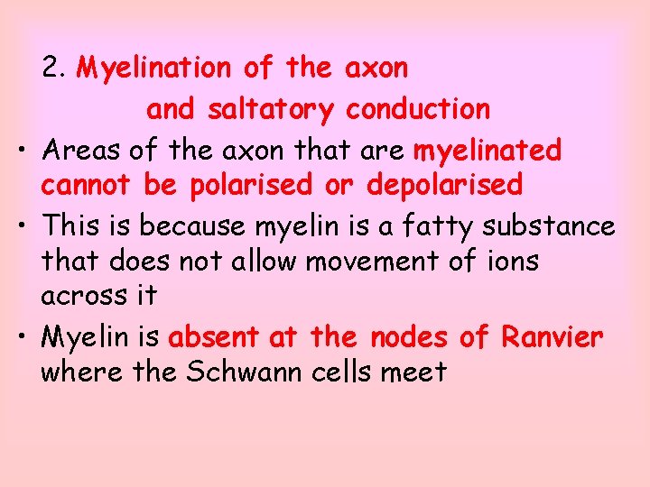 2. Myelination of the axon and saltatory conduction • Areas of the axon that