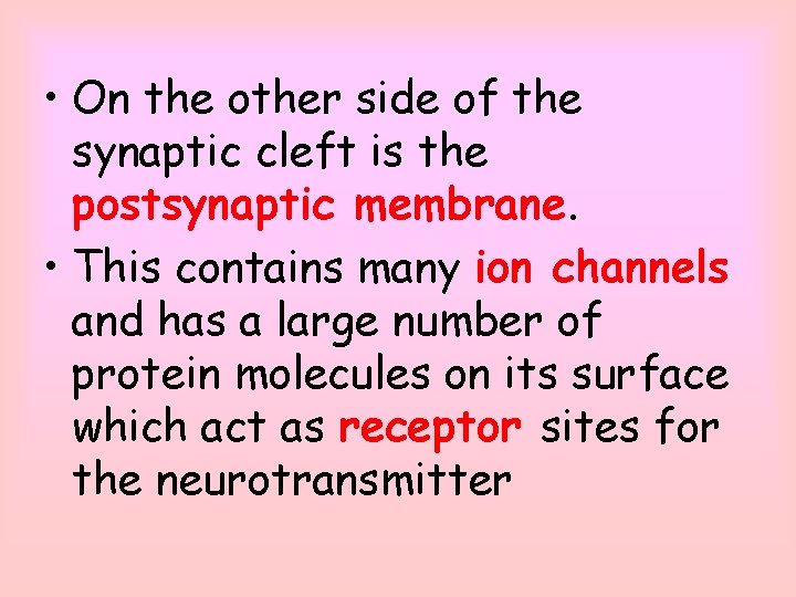  • On the other side of the synaptic cleft is the postsynaptic membrane.