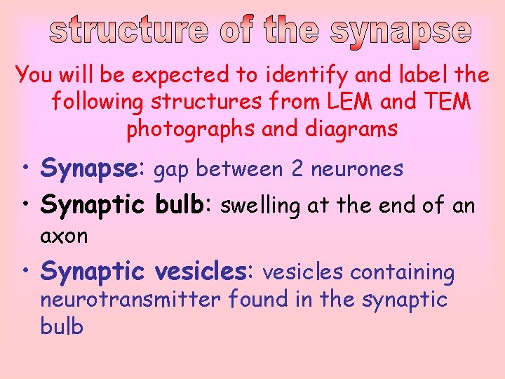 You will be expected to identify and label the following structures from LEM and