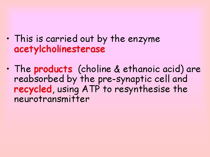  • This is carried out by the enzyme acetylcholinesterase • The products (choline