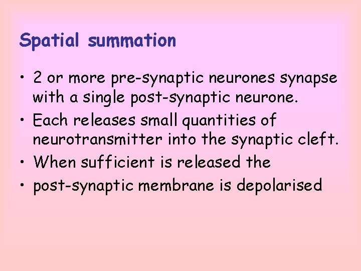 Spatial summation • 2 or more pre-synaptic neurones synapse with a single post-synaptic neurone.