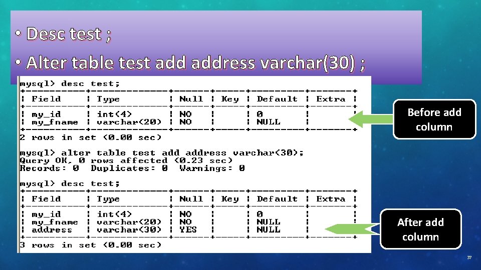  • Desc test ; • Alter table test address varchar(30) ; Before add