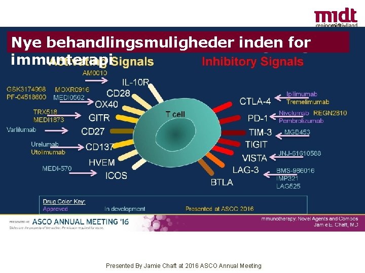 Nye behandlingsmuligheder inden for immunterapi T-cell complexities = more drug targets Presented By Jamie